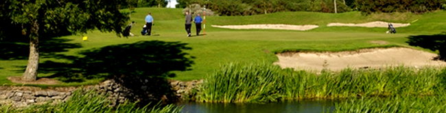Gregan Chauffeur Ireland Golf